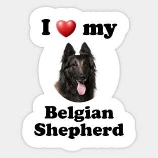 I Love My Belgian Shepherd Sticker
